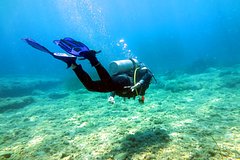 Read more about the article Ныряльщик заблудился и прожил под водой пять дней